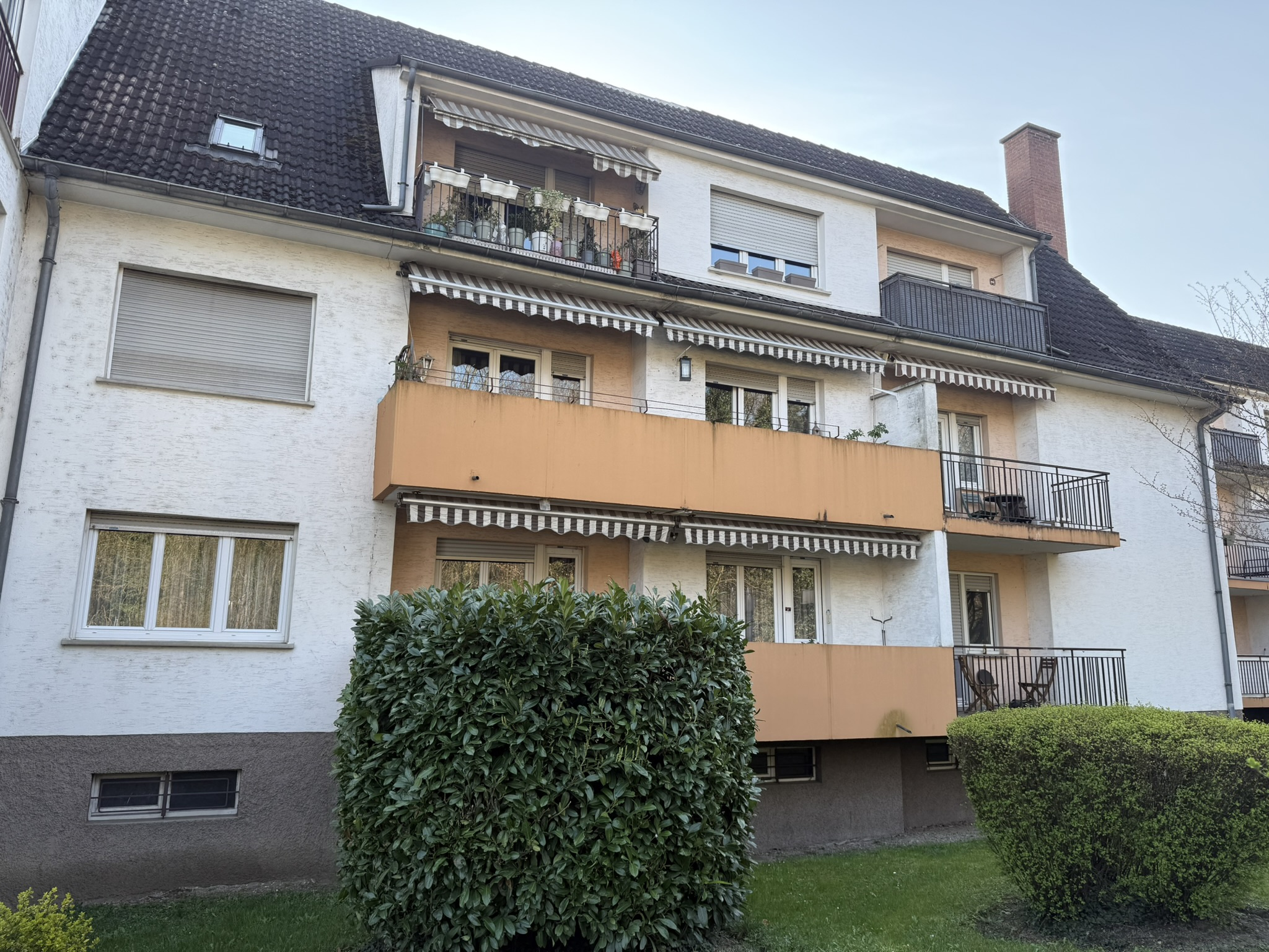 Agence immobilière de IMMOBILIERE TRADITION ALSACE