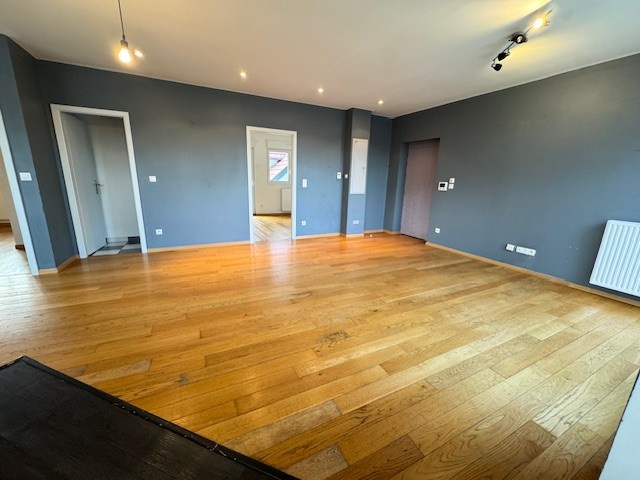 Agence immobilière de IMMOBILIERE TRADITION ALSACE